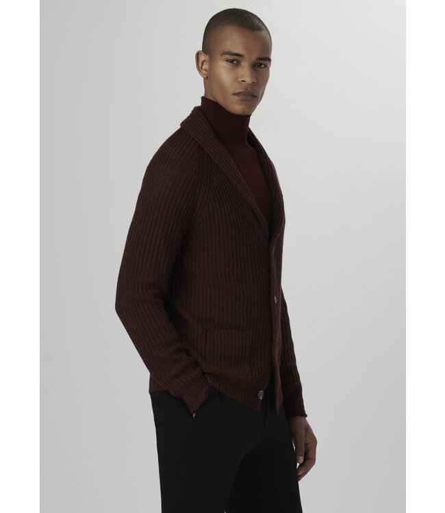 Burgundy Cardigan