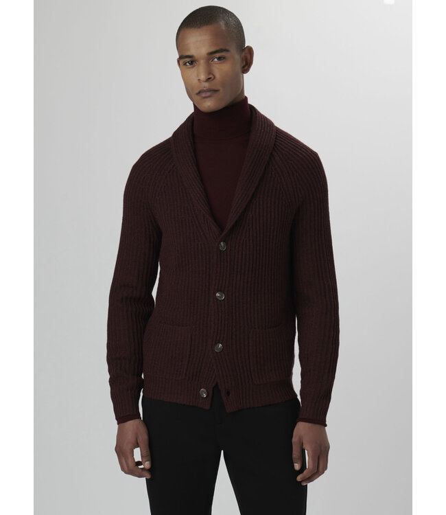 Burgundy Cardigan