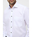 Modern Fit White with Blue Trim Shirt