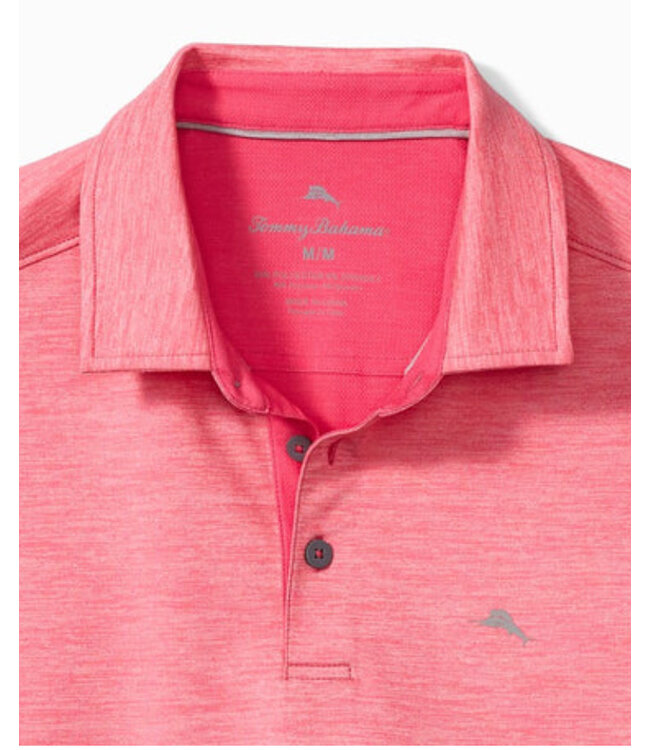 Pink Plumeria San Raphael Polo