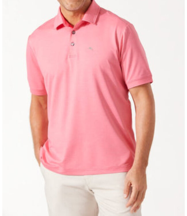 Pink Plumeria San Raphael Polo