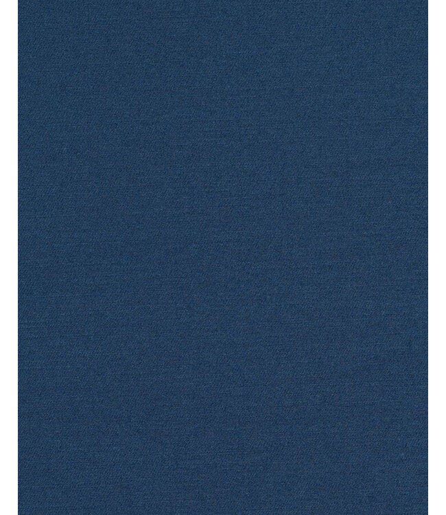 Modern Fit Blue Shorts