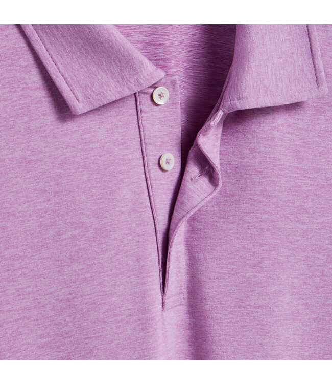 Violet Polo