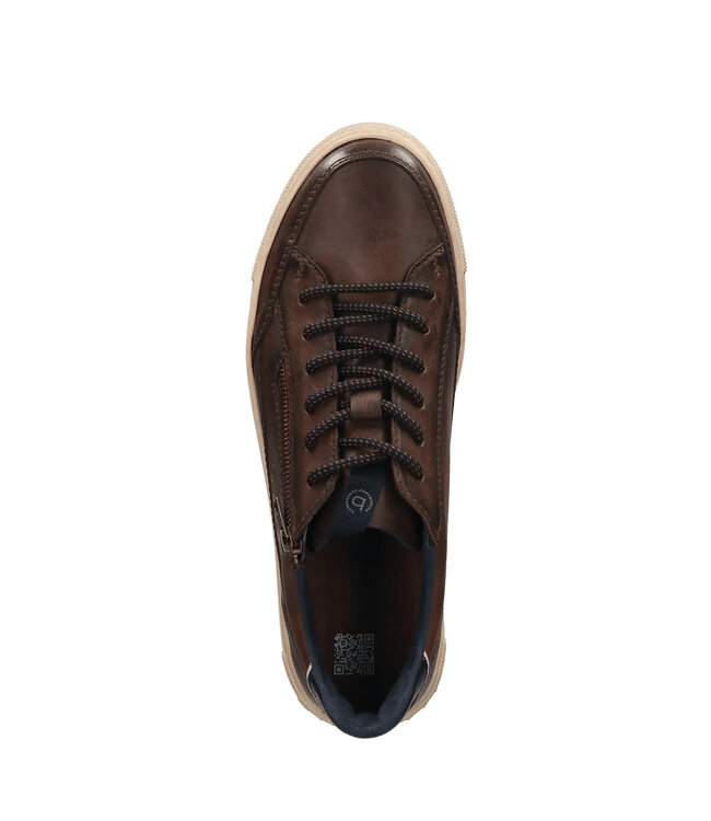 Dark Brown Lace Up Sneakers