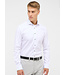 Slim Fit White W/Trim Dress Shirt