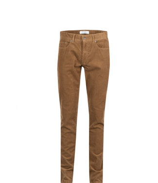SUNWILL Modern Fit Khaki 5 Pocket Cords