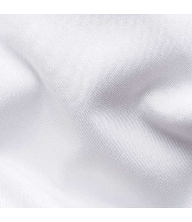 Modern Fit White with Blue Trim Shirt