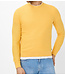 Yellow Rick Sweater