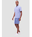 Air Blue Patterned Polo
