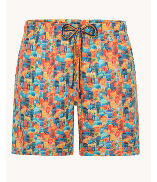 A FISH NAMED FRED Colourful Town Swim Trunks