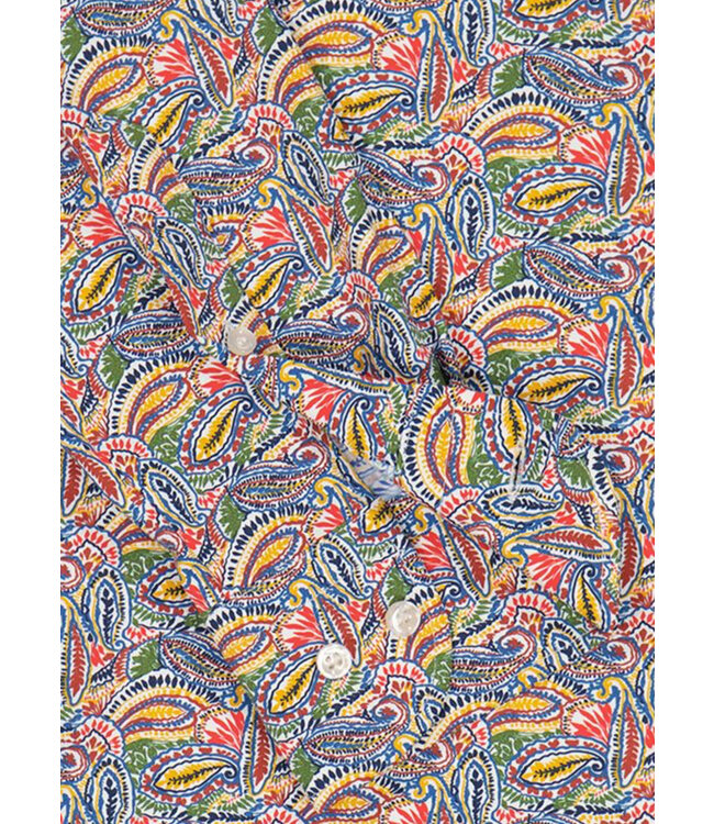 Modern Fit Multi Paisley Shirt