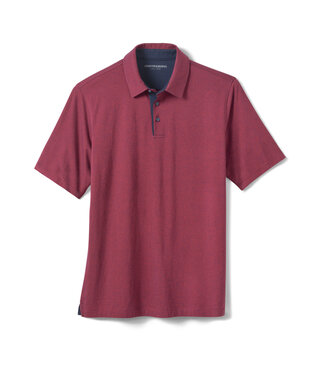 JOHNSTON & MURPHY Burgundy Tight Striped Polo
