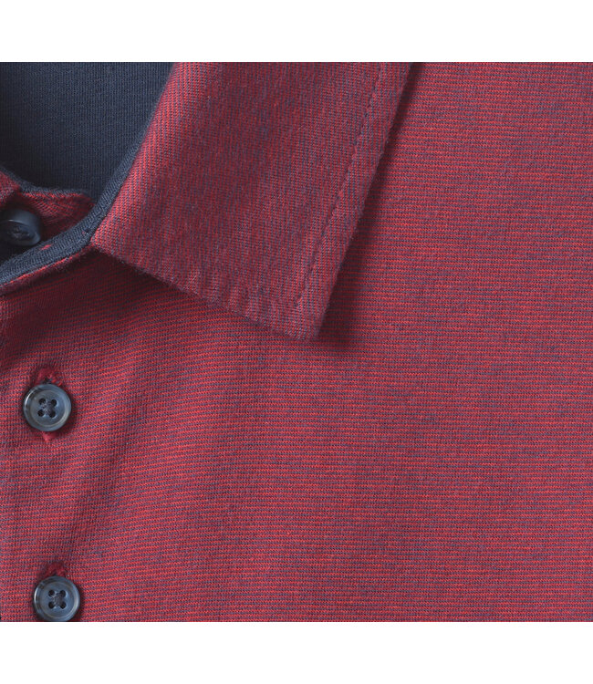 Burgundy Tight Striped Polo