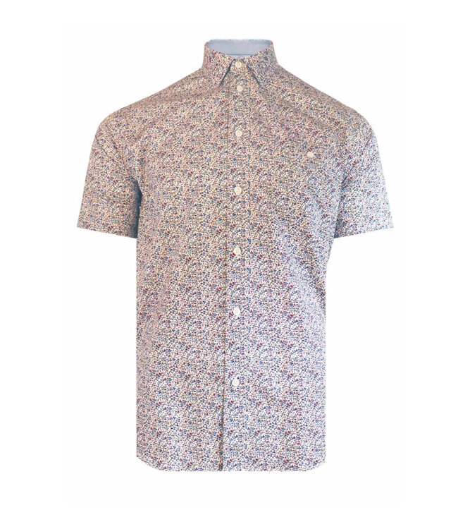 Classic Fit Blue Brown Shirt