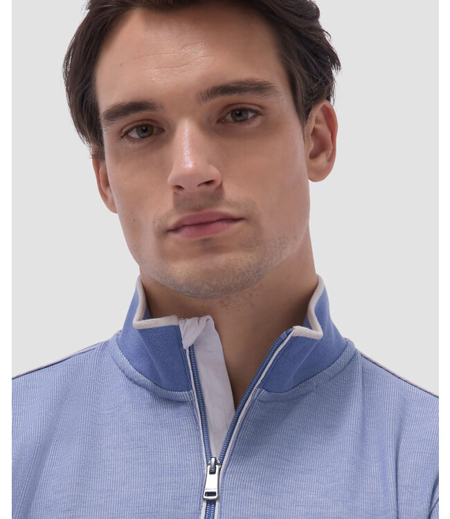 Cobalt Striped 1/4 Zip