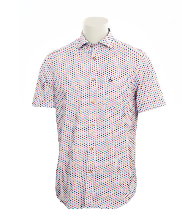 Modern Fit Multi Color Flower Shirt