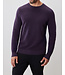 Purple Enrique Sweater