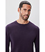 Purple Enrique Sweater