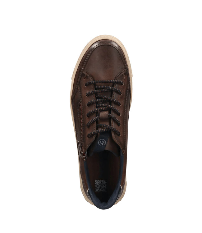 Dark Brown Lace Up Sneakers