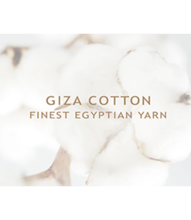 Modern Fit Light Denim Shirt