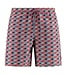 Multi Colour Fish Graphic Swim Trunks