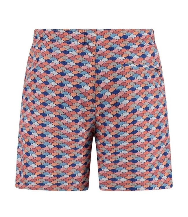 Multi Colour Fish Graphic Swim Trunks