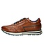 Cognac Philip Sneakers