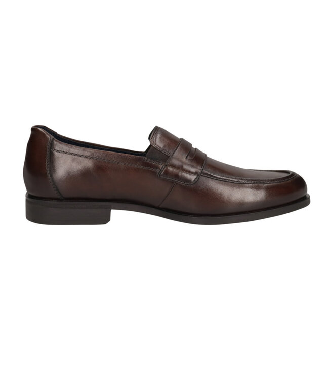 Brown Penny Loafers