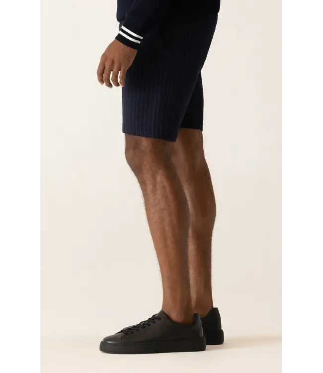 Modern Fit Indigo/Blue Striped Shorts