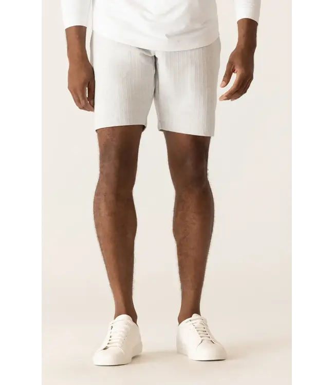 Modern Fit Silver Striped 360 Infinity Shorts