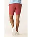 Modern Fit Red Galaxy Bermuda Shorts