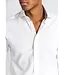 Slim Fit White Oxford Albin Shirt