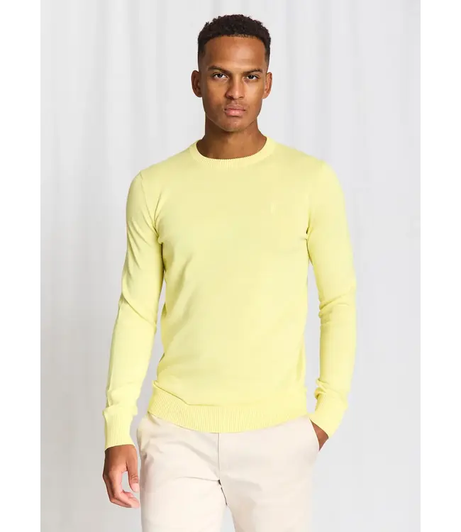 Lemonade Jupiter Sweater