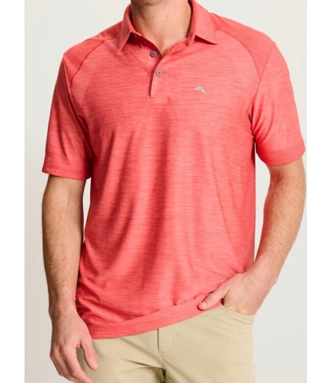 Dark Havana Red Palm Coast polo