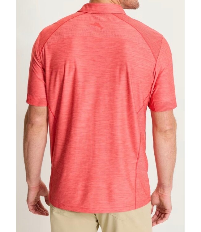 Dark Havana Red Palm Coast polo