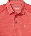 Dark Havana Red Palm Coast polo