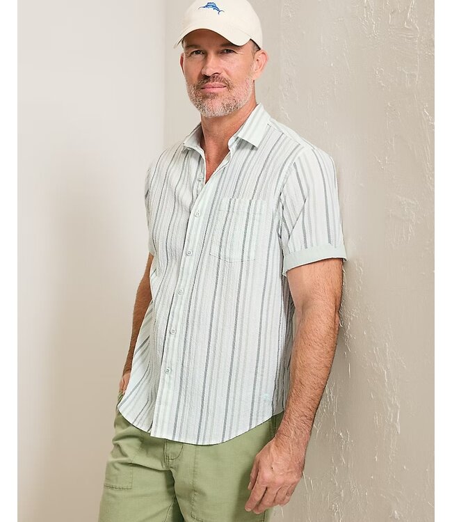 Classic Fit Dusty Sage Nova Wave Stripe Shirt