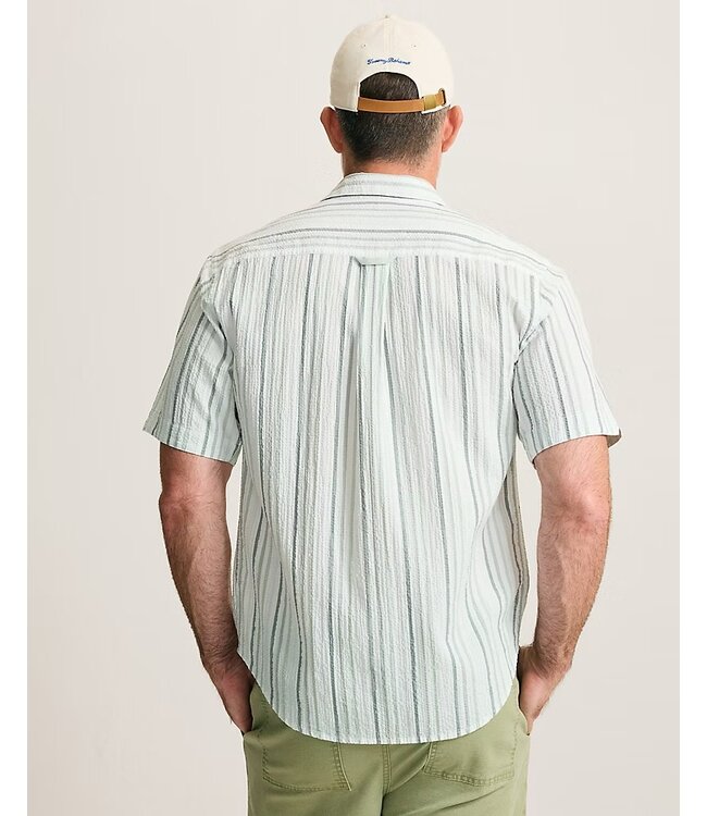 Classic Fit Dusty Sage Nova Wave Stripe Shirt