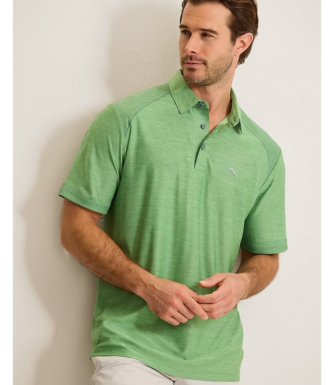 Elm Green Palm Coast Polo