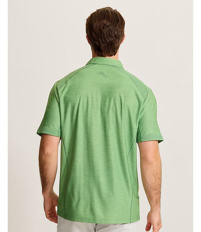 Elm Green Palm Coast Polo