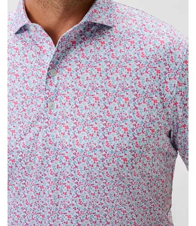 Punch Shamrock Charmer Polo