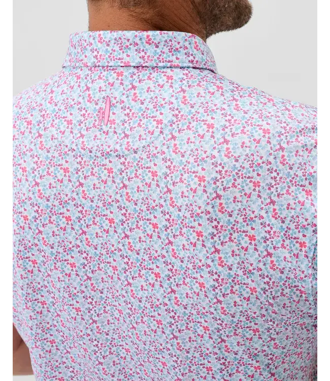Punch Shamrock Charmer Polo