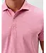 Punch Michael Polo