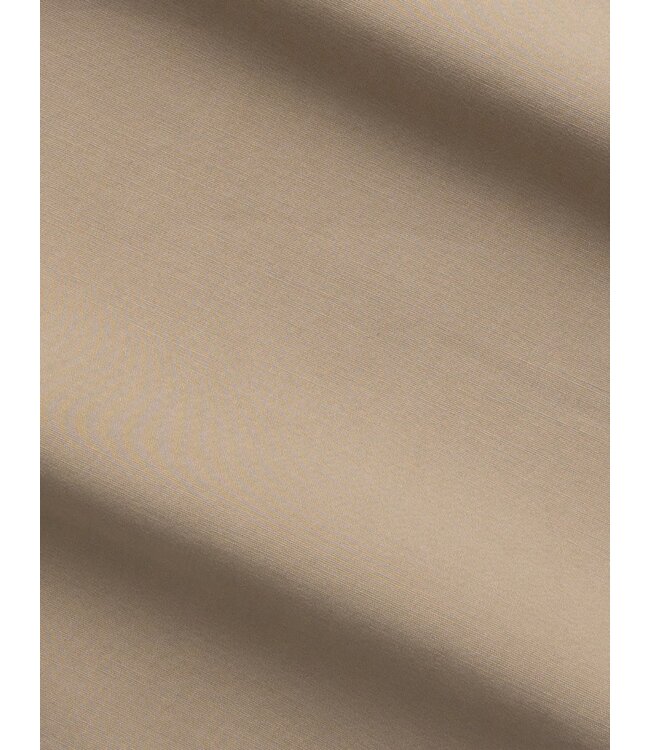 Slim Fit Mushroom Flat Front Pants