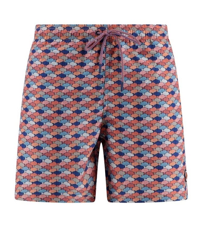 Multi Colour Fish Graphic Swim Trunks