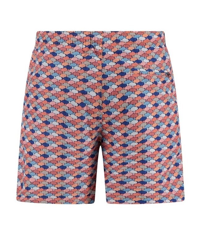 Multi Colour Fish Graphic Swim Trunks