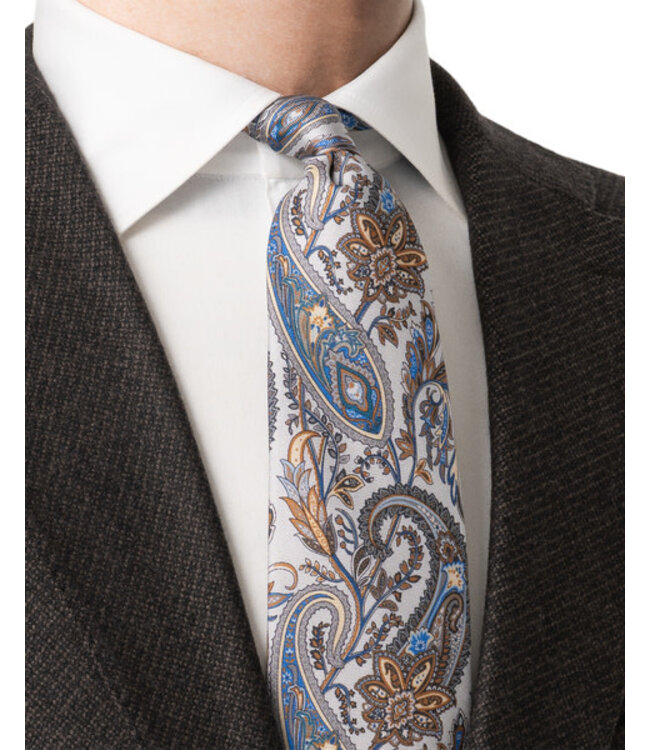 Grey Multi Color Paisley Tie
