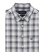 Modern Fit Green Navy Paid Shirt