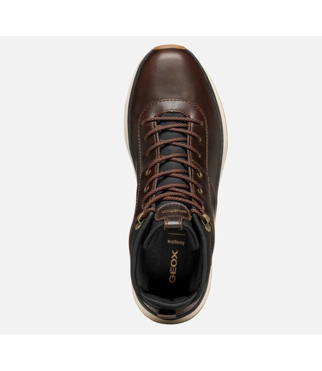 Dark Brown Spherica Laced Boots