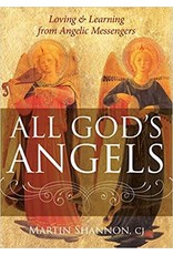 All God's Angels: Loving and Learning from Angelic Messengers  by Martin Shannon CJ